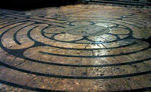 histoire-Adaptogénèse