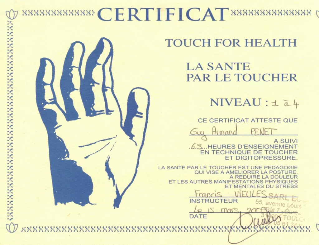 Certificat TFH kinésiologie