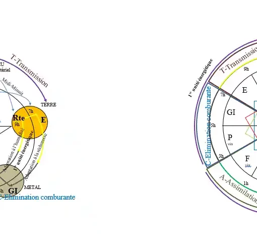 a diagram of different types of metal