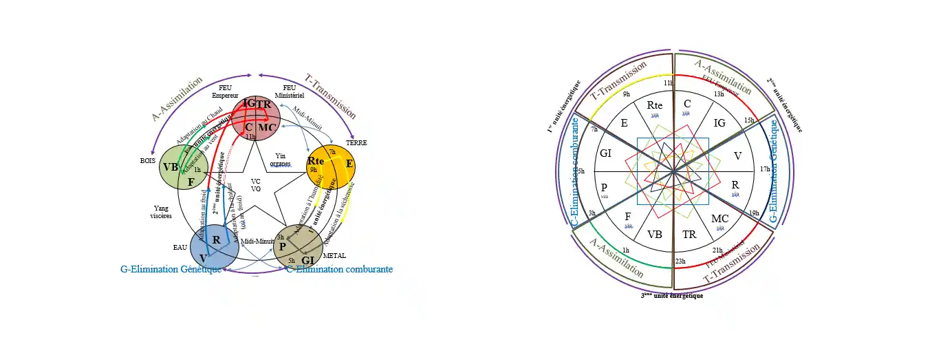 a diagram of different types of metal