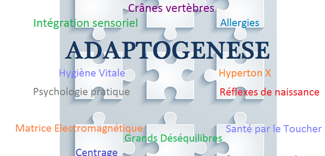 qu'est ce que la kinésiologie : ses bienfaits