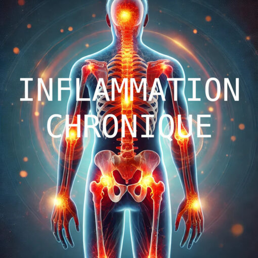 Inflammation chronique avec laabyrinthe-kinesiologie et Guy-Arnaud Pénet