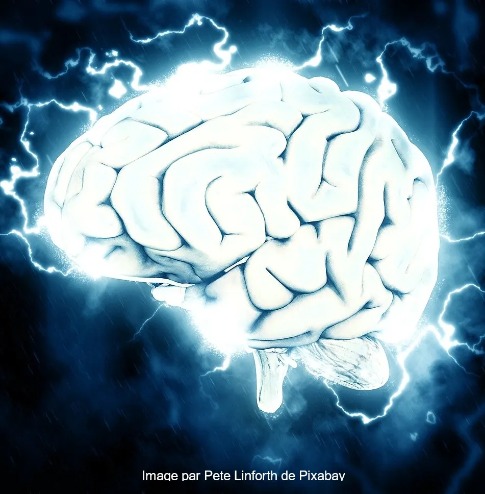 Déprogrammation cellulaire en kinésiologie avec labyrinthe-kinésiologie .fr et Guy-Arnaud Pénet