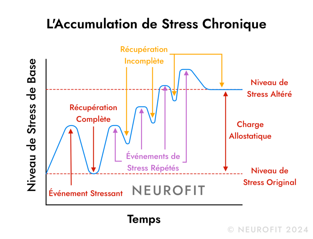 fatigue persistante après un stress avec labyrinthe-kinésiologie et Guy-Arnaud Pénet