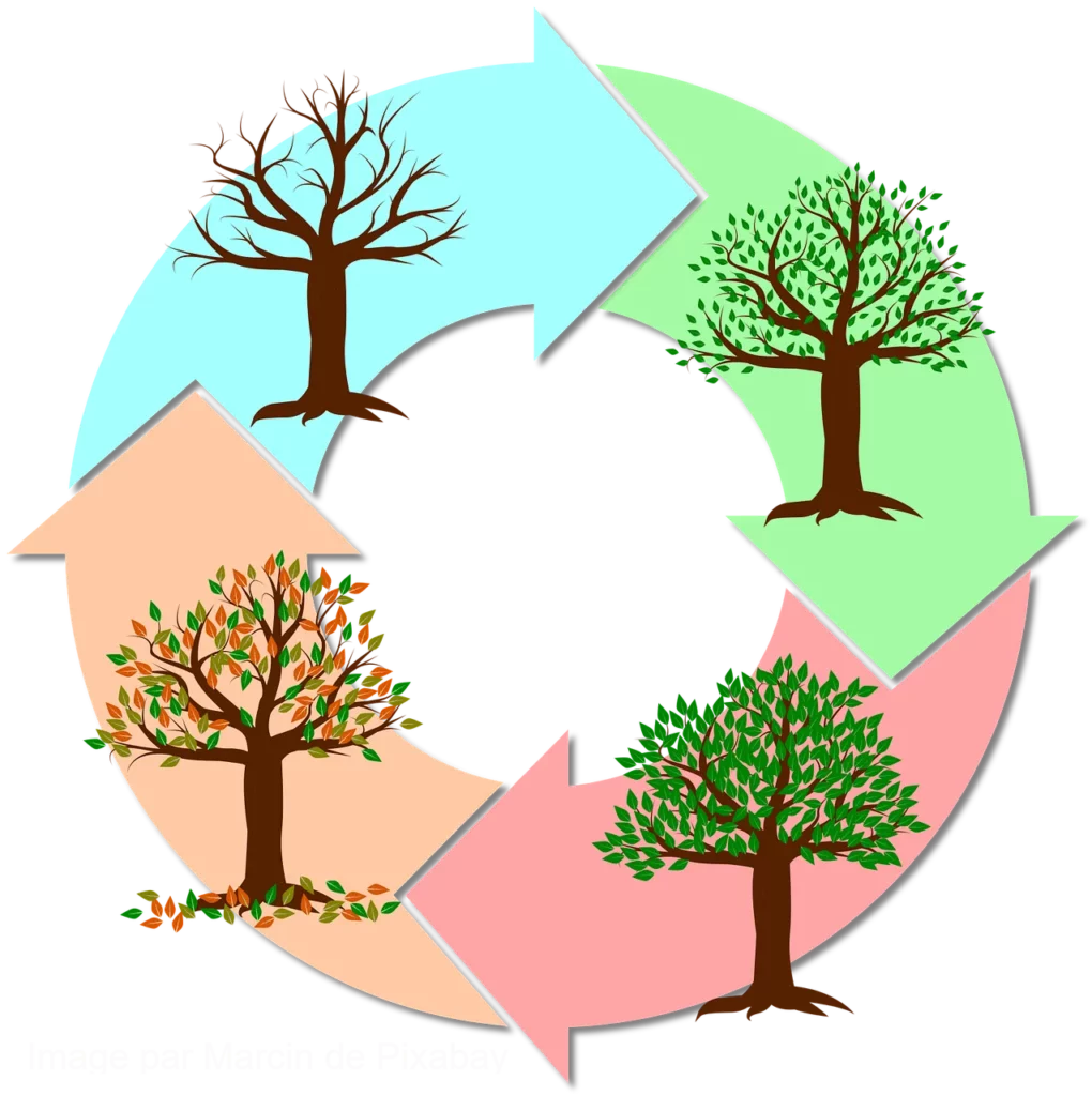 Lumière et rythme circadien avec labyrinthe-kinésiologie et Guy-Arnaud Pénet