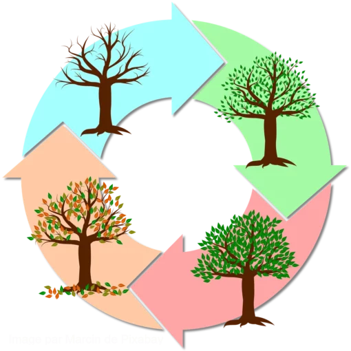Lumière et rythme circadien avec labyrinthe-kinésiologie et Guy-Arnaud Pénet
