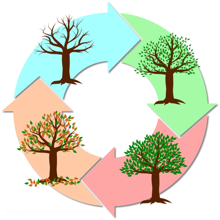 Lumière et rythme circadien avec labyrinthe-kinésiologie et Guy-Arnaud Pénet