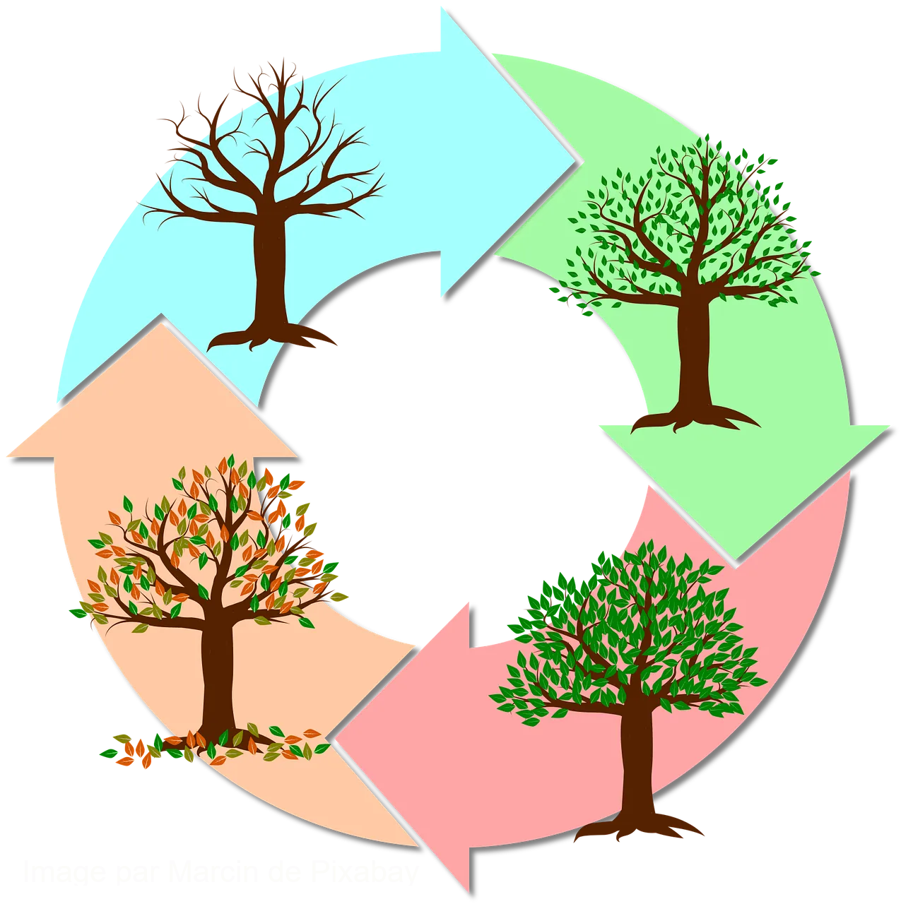 Lumière et rythme circadien avec labyrinthe-kinésiologie et Guy-Arnaud Pénet