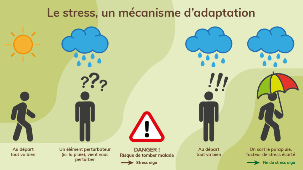 fatigue persistante après un stress avec labyrinthe-kinésiologie et Guy-Arnaud Pénet