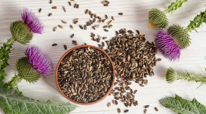 foie détox : tisane chardon Marie avec labyrinthe-kinésiologie.fr