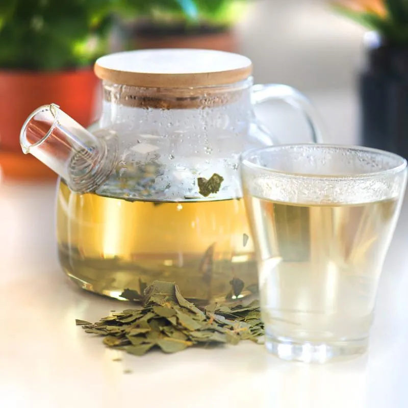 Poumon stress symptômes avec labyrinthe-kinésiologie et Guy-Arnaud Pénet