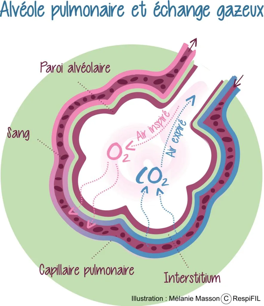 Poumon stress symptômes avec labyrinthe-kinésiologie et Guy-Arnaud Pénet