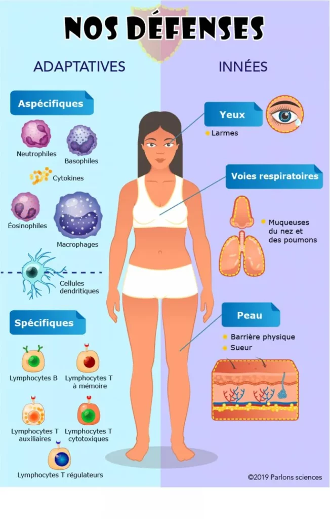 Poumon stress symptômes avec labyrinthe-kinésiologie et Guy-Arnaud Pénet