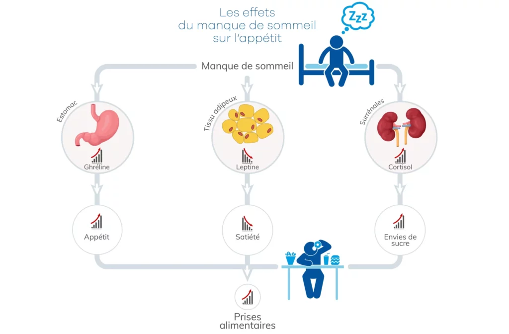 vide de rate symptômes : sommeil avec labyrinthe-kinesiologie et- Guy-Arnaud Pénet