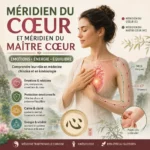 Méridien du maître du coeur : rôle, émotions et stimulation méridien Maître du coeur avec labyrinthe-kinésiologie et Guy-Arnaud Pénet