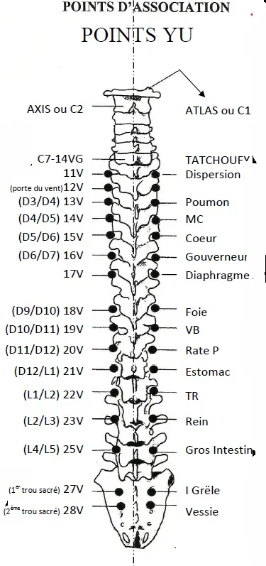 méridien vessie pts yu avec labyrinthe-kinesiologie et Guy-Arnaud Pénet