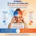 cerveau gauche et cerveau droit avec labyrinthe-kinesiologie et Guy-Arnaud Pénet
